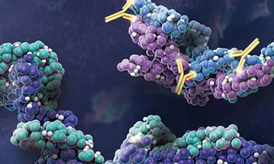 蛋白表达-为什么会出现真核细胞蛋白表达量低