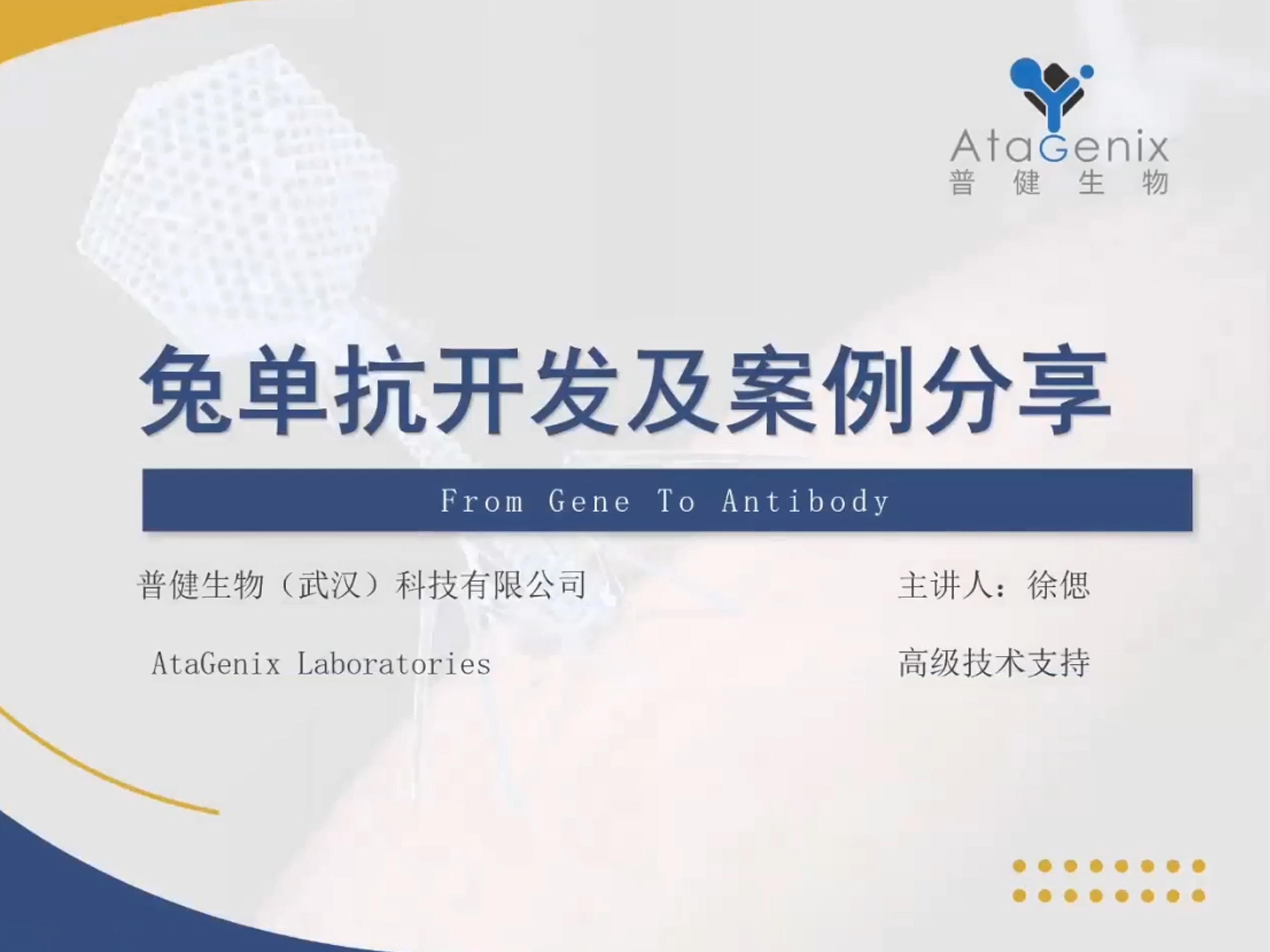 兔单抗开发及案例分享