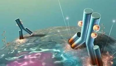 盘点纳米抗体的分类-普健生物