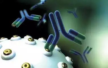 盘点抗体(antibody)具备的那些生物学的功能