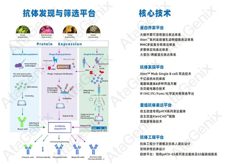普健生物与环特生物达成战略合作