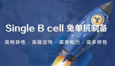 普健生物Xten™ Mab Single B 兔 单克隆抗体开发服务惊喜上市