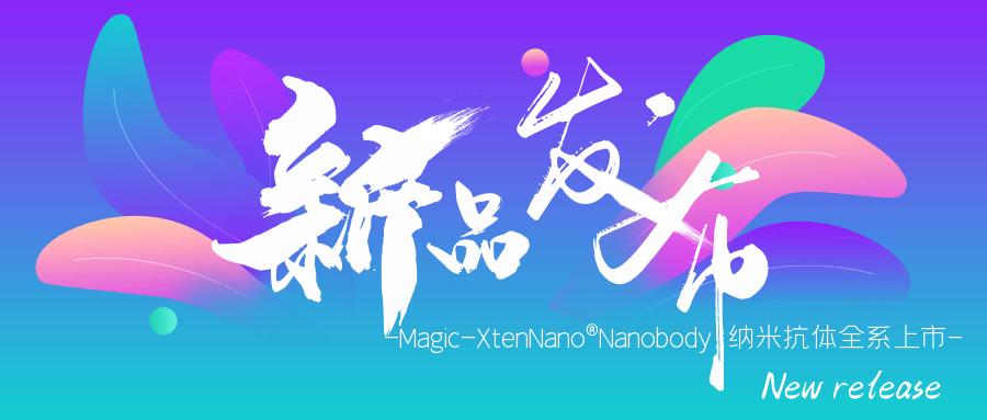 新品发布|Magic-XtenNano®Nanobody纳米抗体全系上市