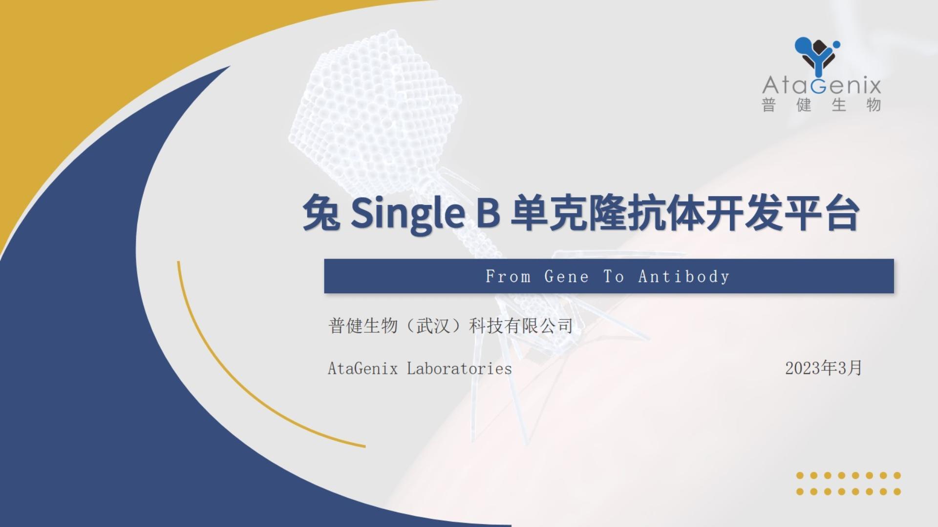 兔颖而出——Single B兔单克隆抗体开发技术分享