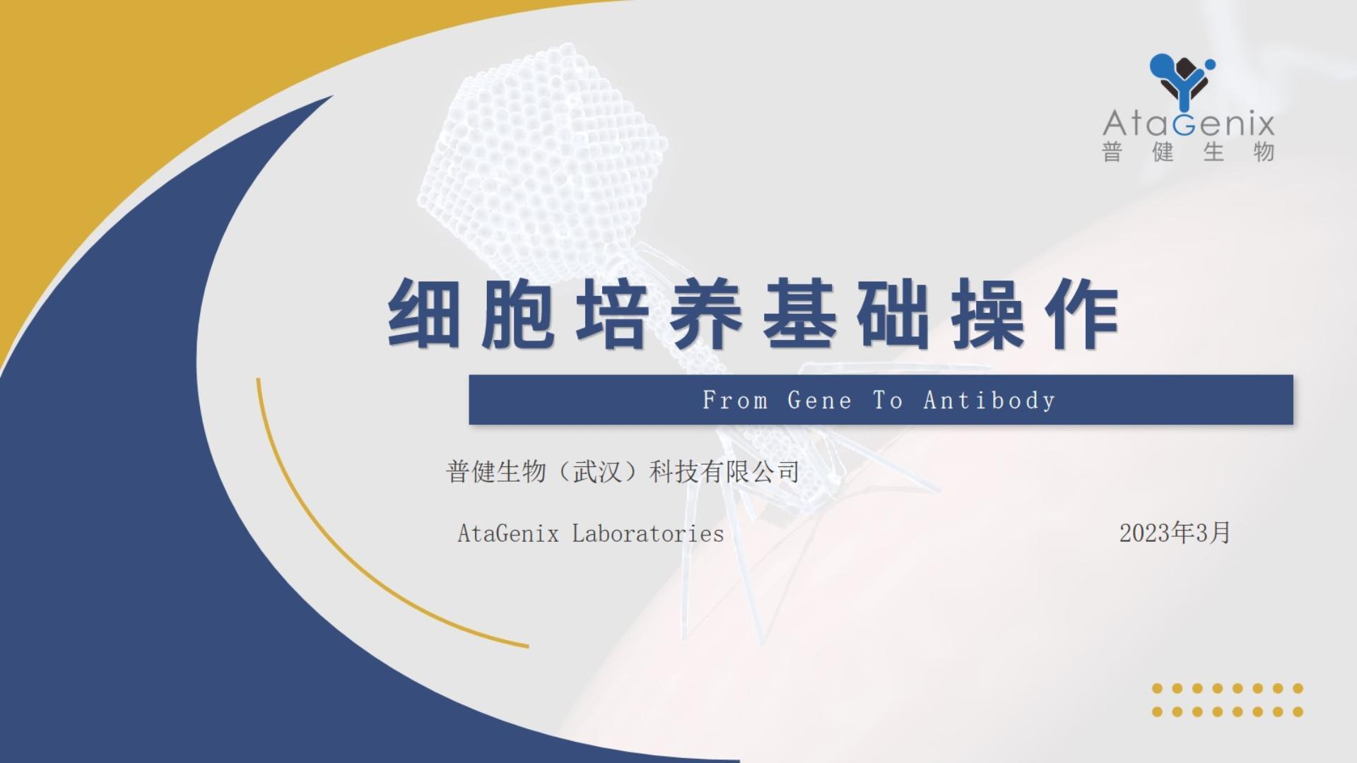 基础试验操作篇——细胞培养