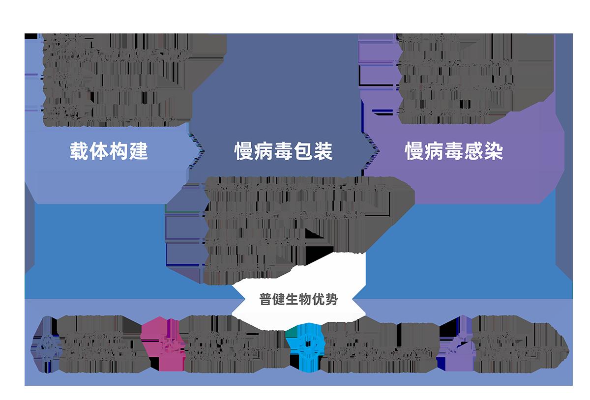 稳定细胞株构建