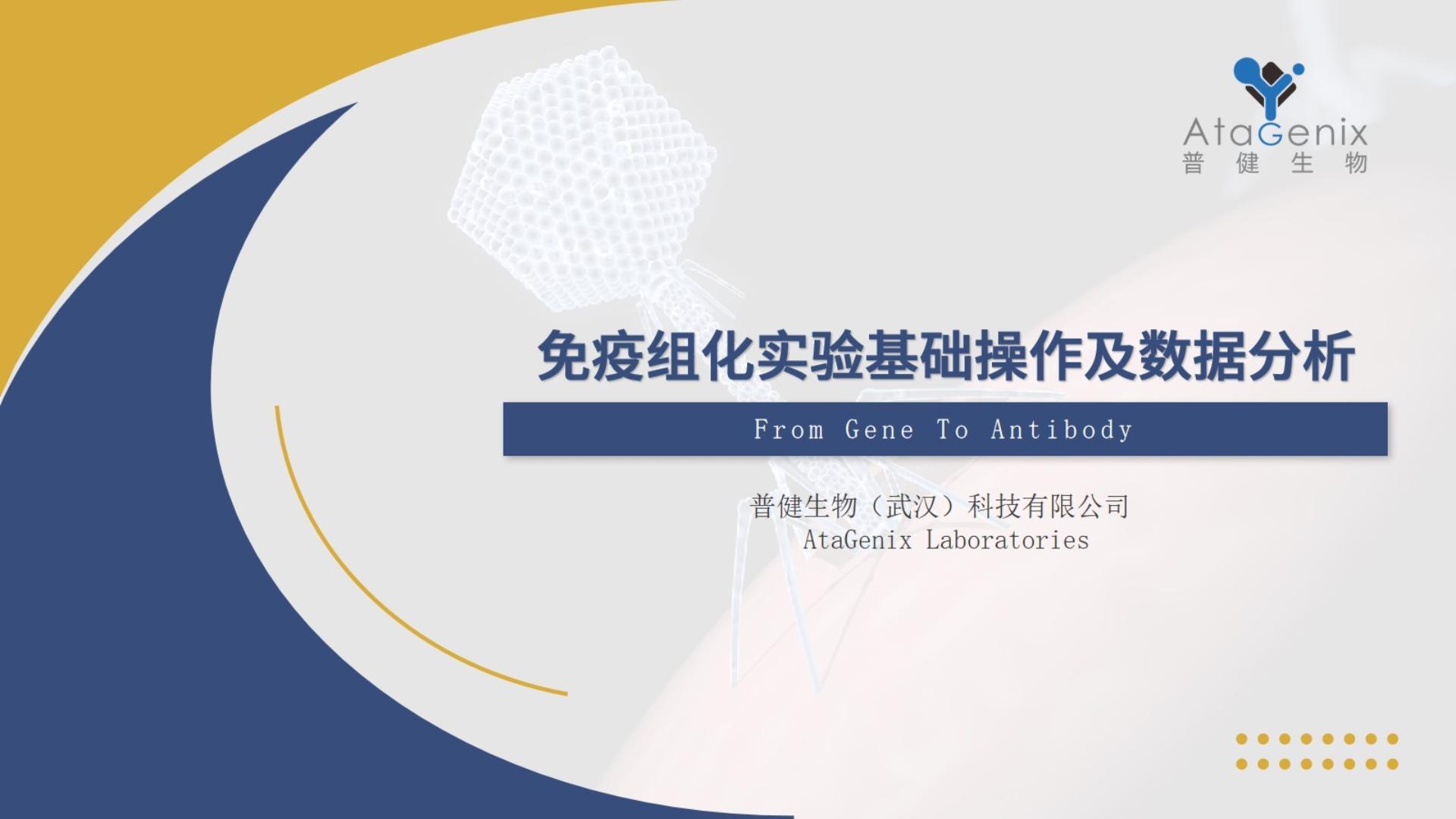 【基础实验一篇搞定】免疫组化——IHC实验基础操作