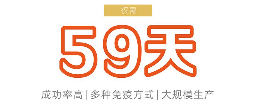 杂交瘤细胞开发-鼠单克隆抗体仅需59天