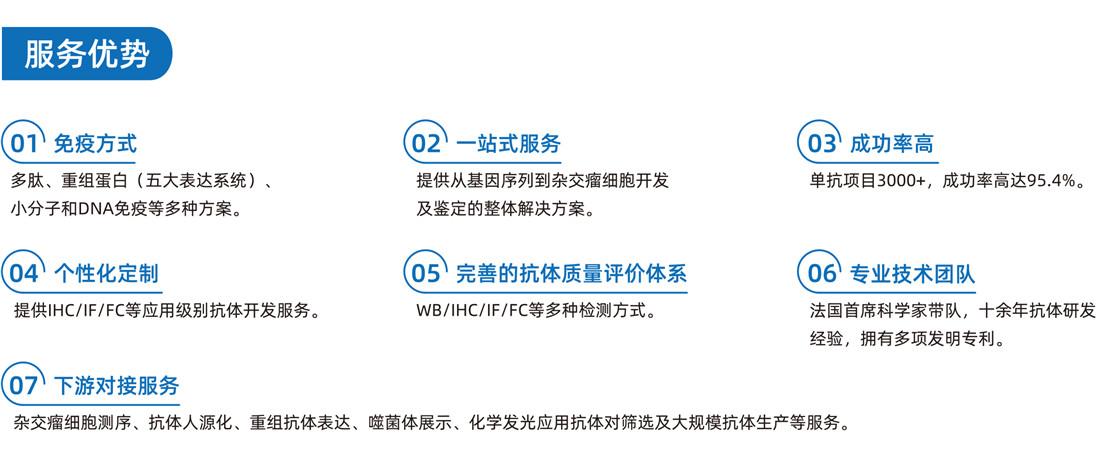 杂交瘤细胞开发-鼠单克隆抗体仅需59天