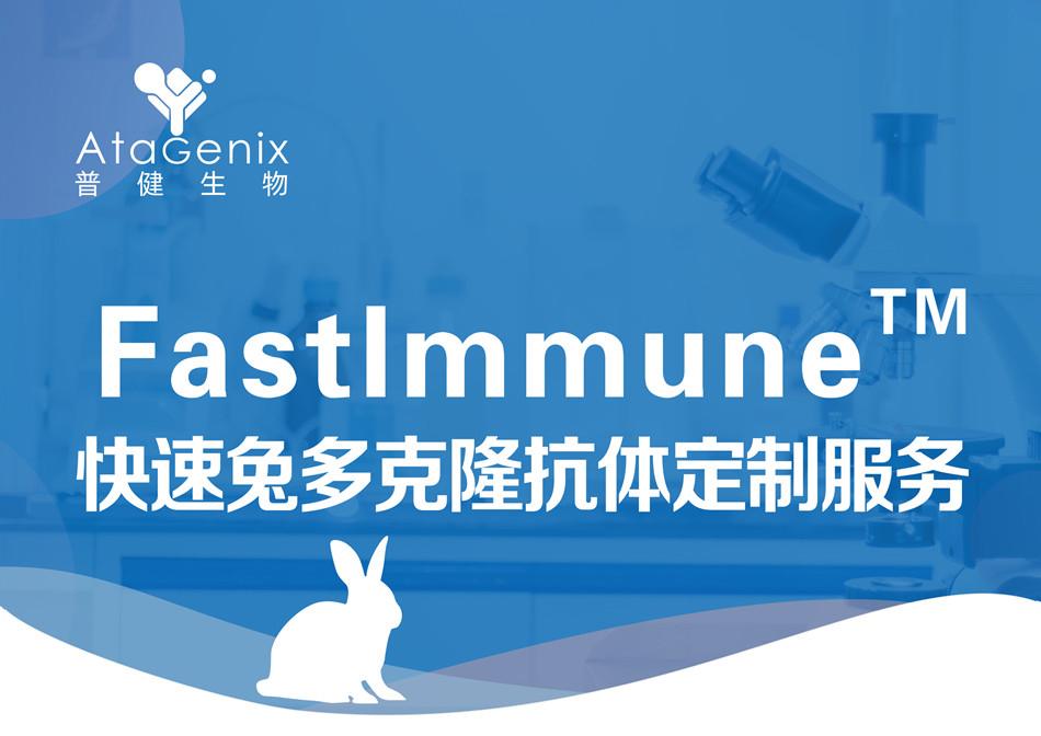 快速兔多克隆抗体定制服务