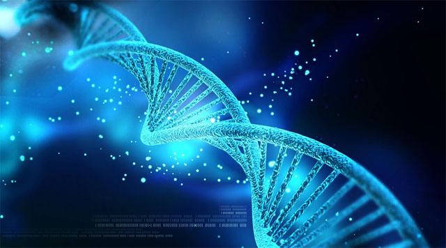 重组抗体表达-相比传统抗体表达技术的优势有哪些？