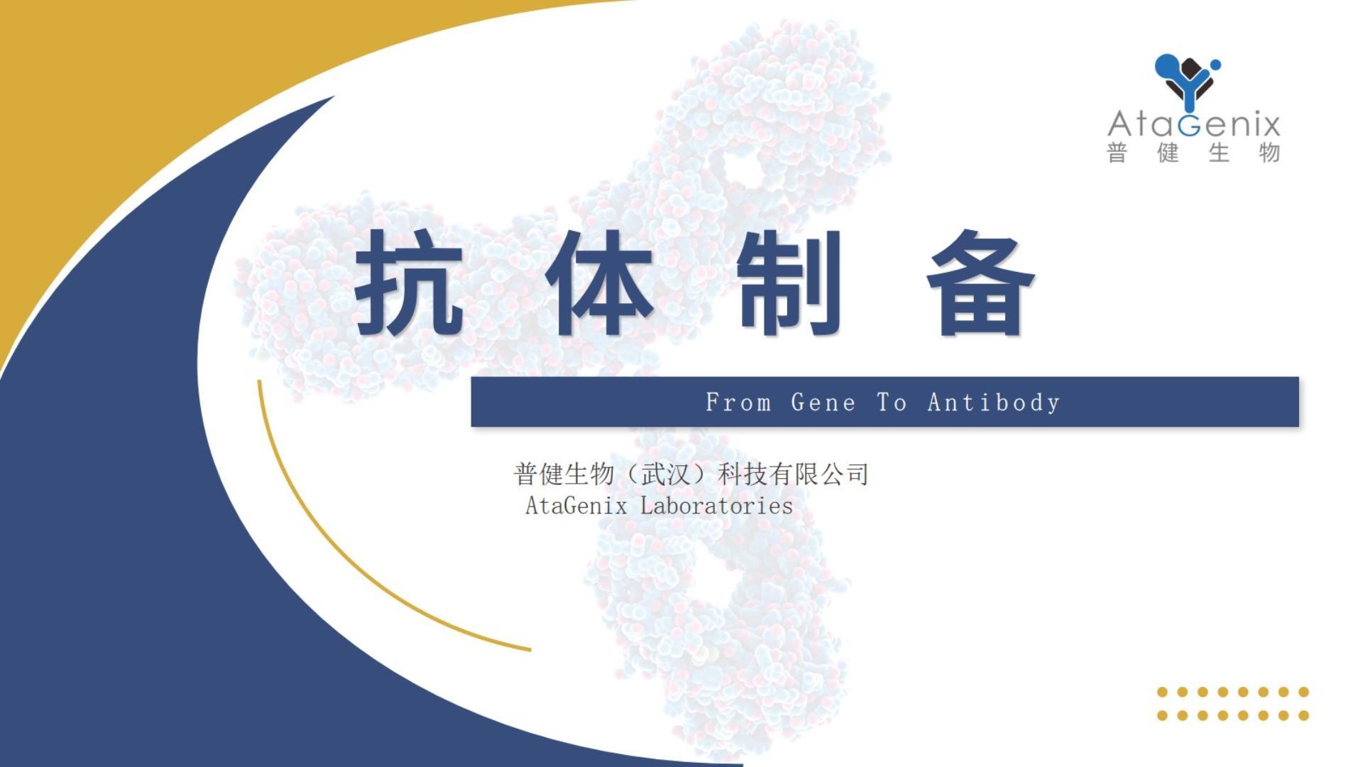 抗体制备——单克隆抗体VS多克隆抗体