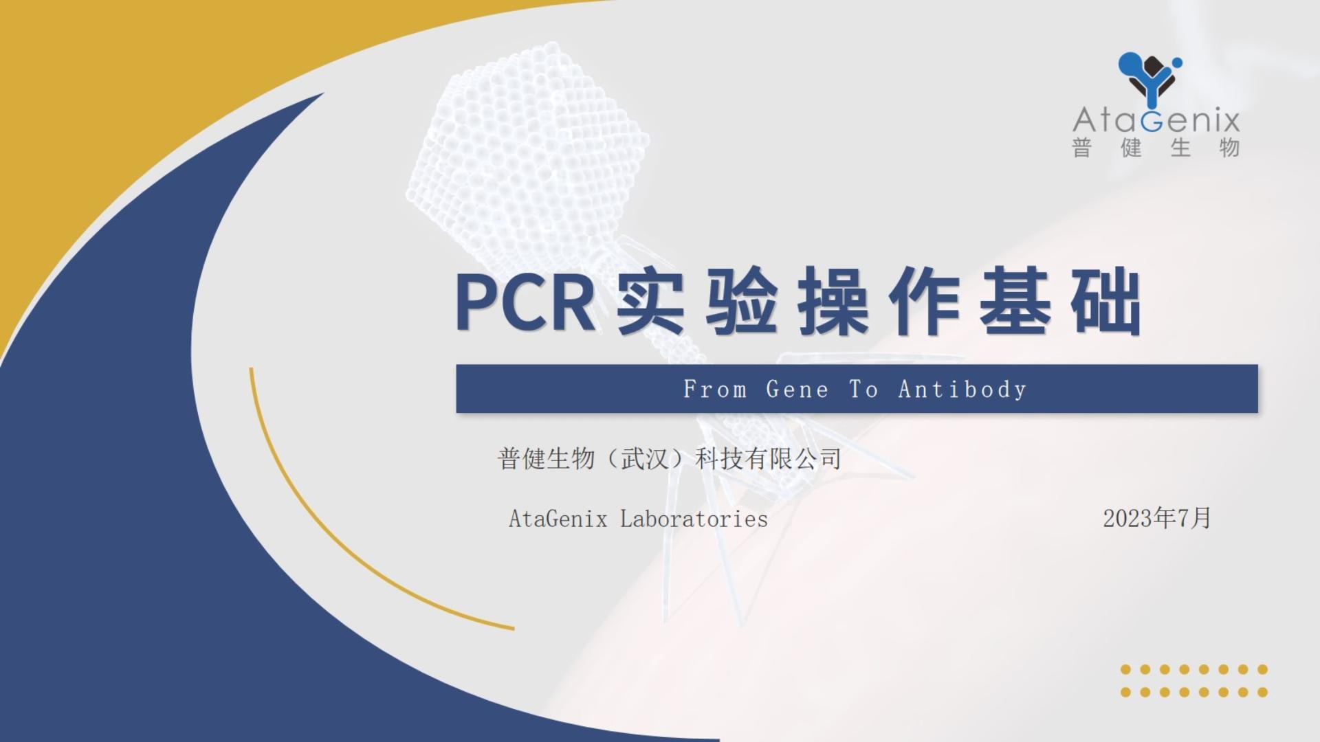 基础试验操作篇——PCR实验