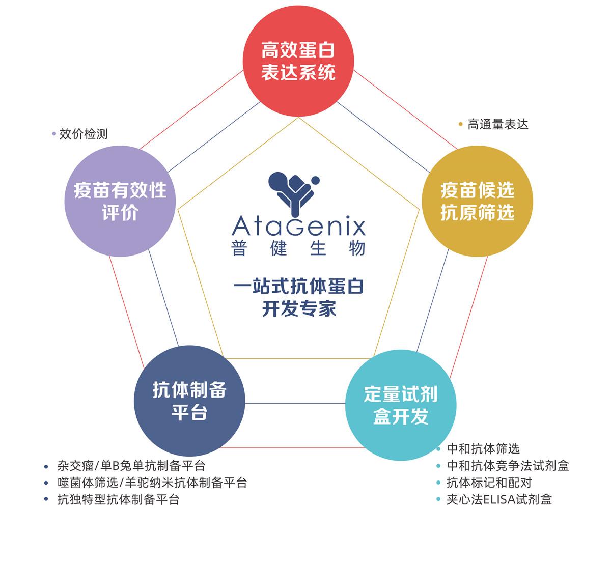疫苗研发辅助工具开发