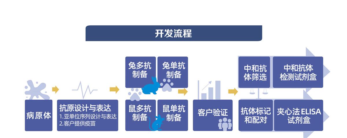疫苗研发辅助工具开发