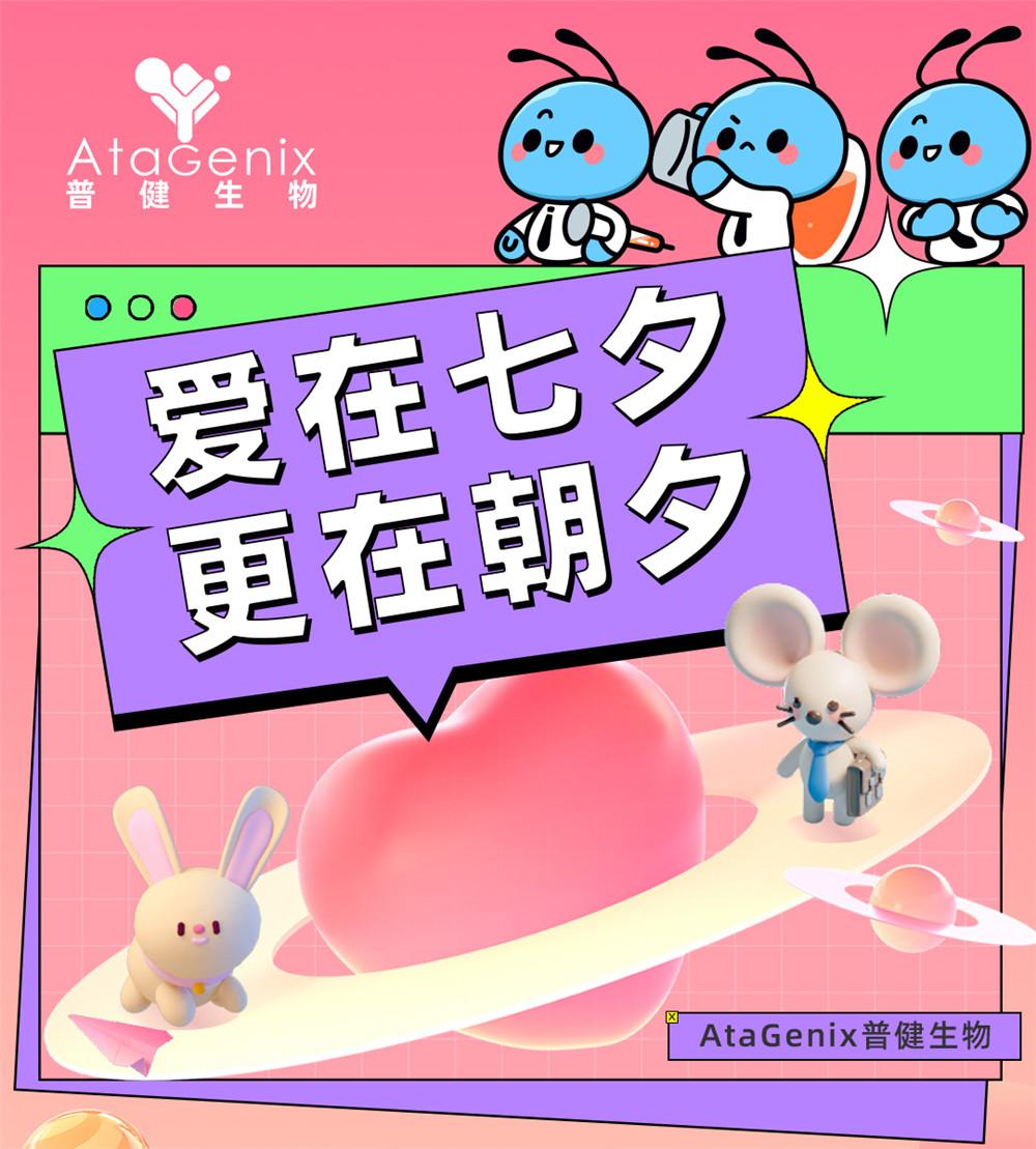 爱在七夕，更在朝夕