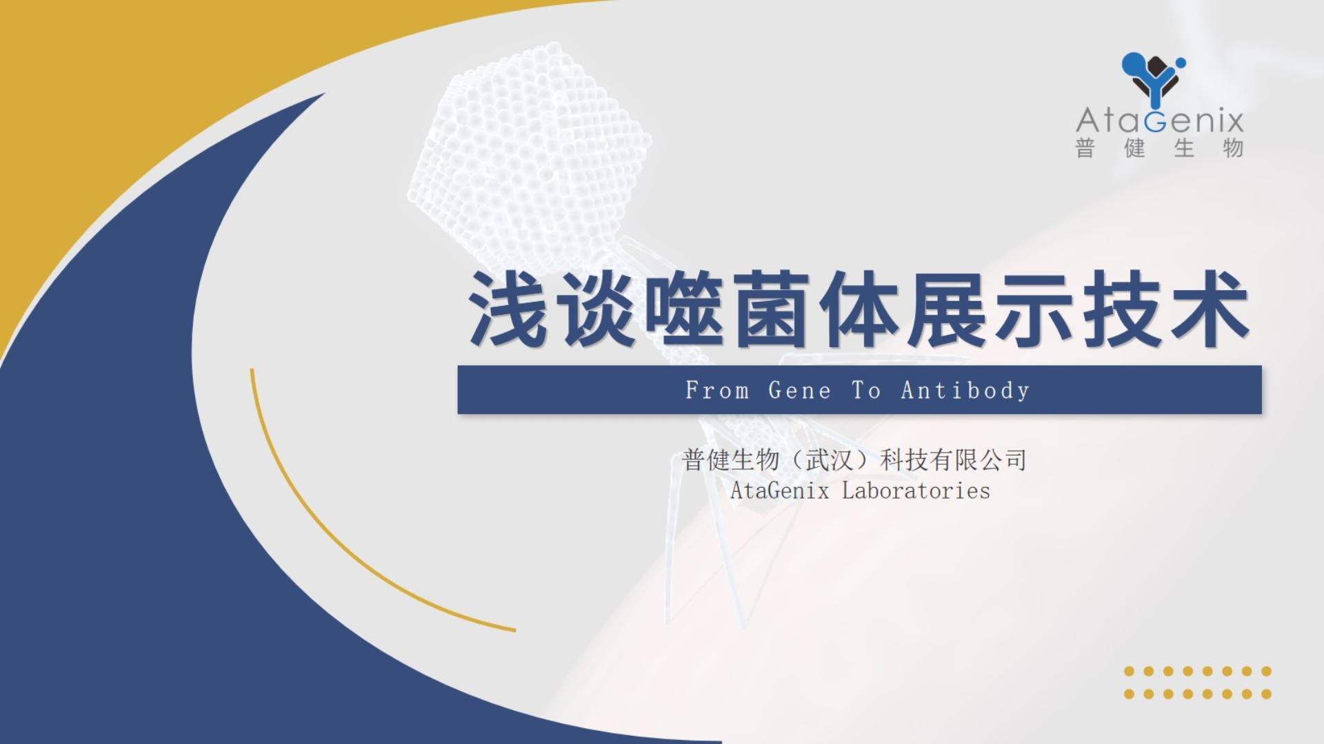 【一篇搞定】噬菌体展示技术与噬菌体展示抗体发现平台