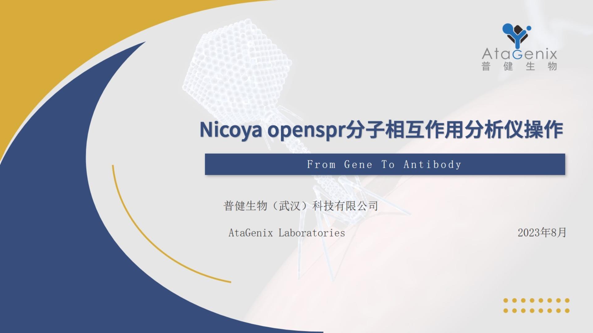 基础试验操作篇——SPR亲和力测定