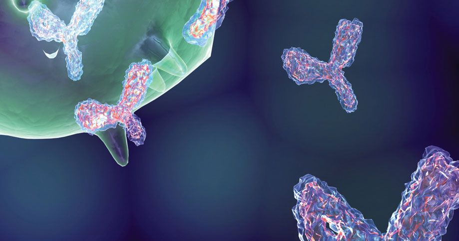 构建新型的双-多特异性纳米抗体助力肿瘤耐药研究