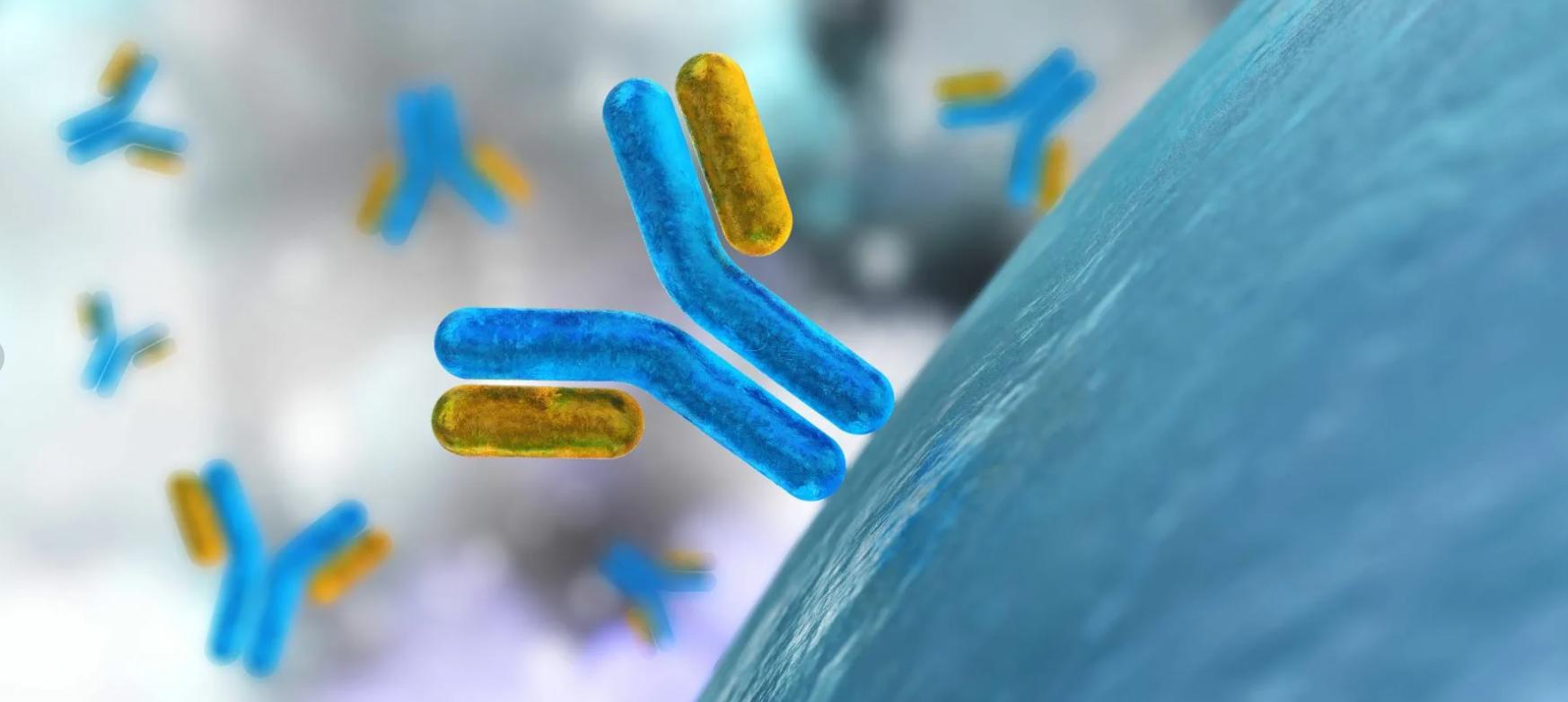 新一代″生物技术导弹″——对肿瘤免疫策略有重大意义的纳米抗体（上）