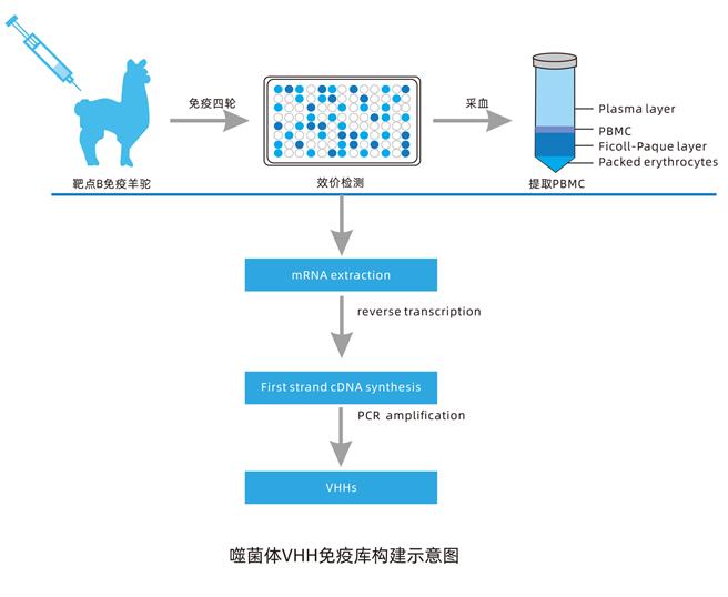 普健生物羊驼基地