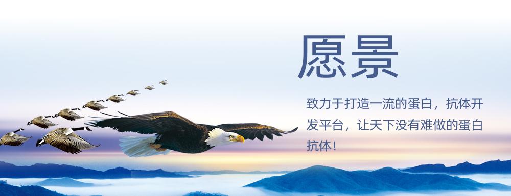 我们的愿景