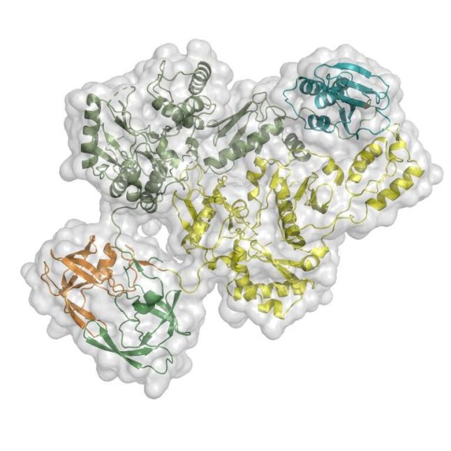 深入解读纳米抗体在临床HIV疾病中的研究与应用