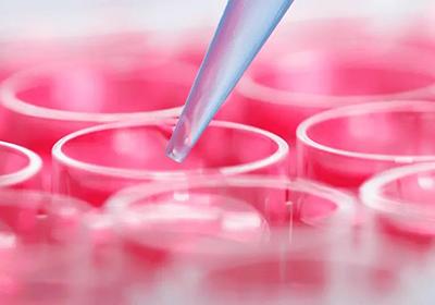 如何做好细胞培养工作?普健生物告诉您