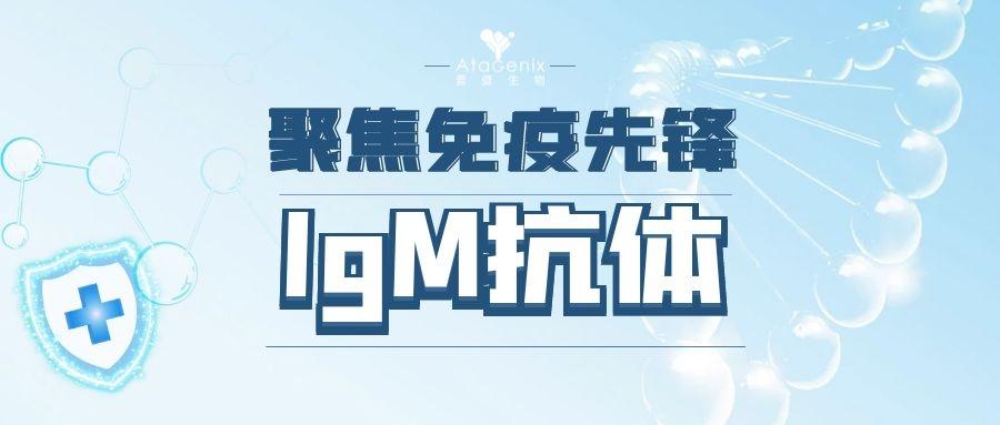 聚焦免疫先锋|一文带你了解免疫球蛋白lgM的前生今世