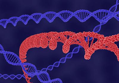 重组蛋白表达