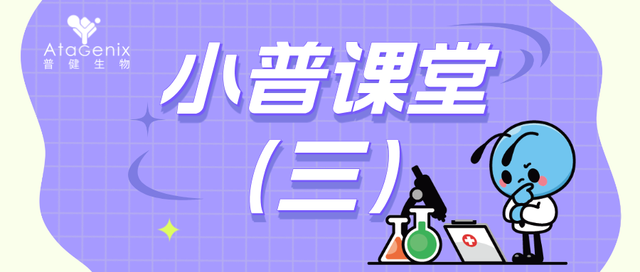 重组蛋白的多元化表达系统（三）