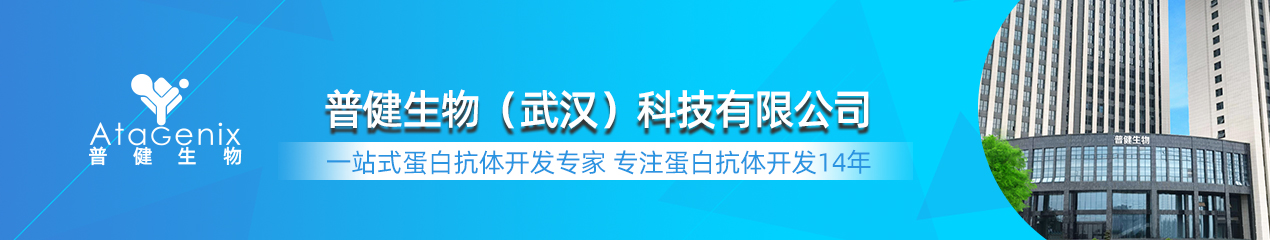 普健生物AtaGenix14年蛋白抗体定制服务