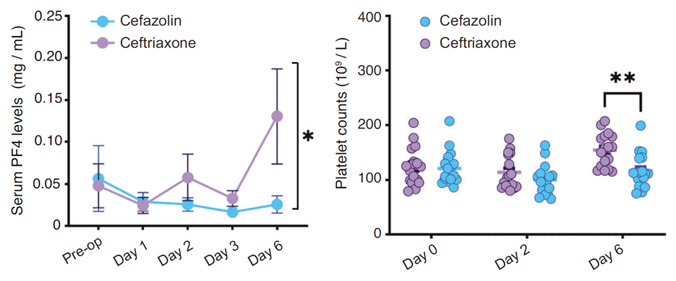 Ceftriaxone抑制C3上调、维持PF4水平，发挥认知保护作用