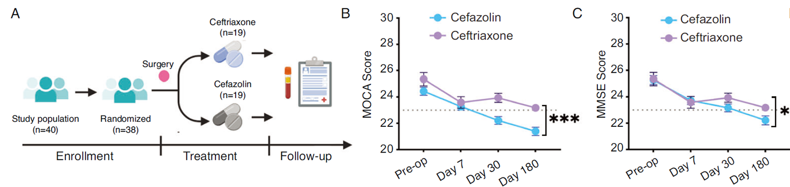 Ceftriaxone显著降低老年患者术后PNCD发生率，改善认知功能。